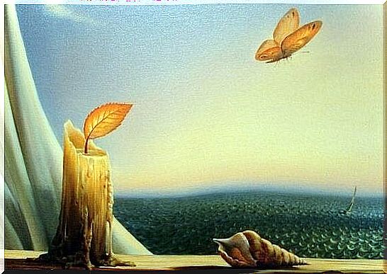 Butterfly flies from light towards new beginning