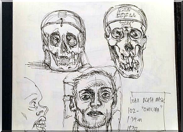 Drawn skulls show theory of criminals by Cesare Lobroso