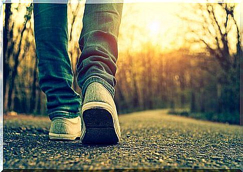 Person walking on path in forest