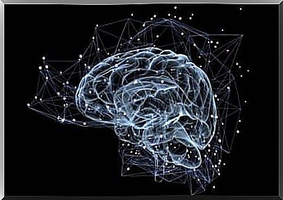 Connections in the human brain as part of the Human Connectome Project