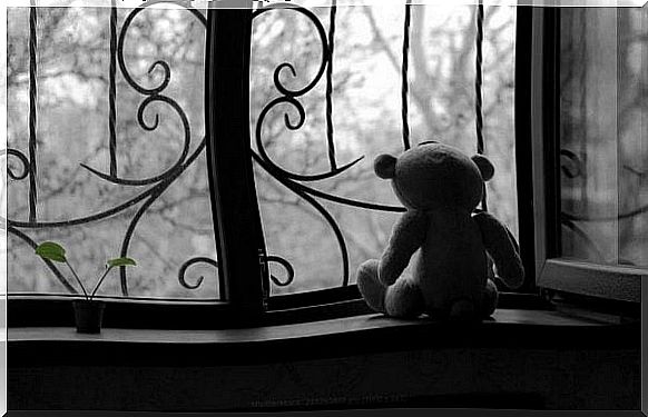 Teddy bear in window