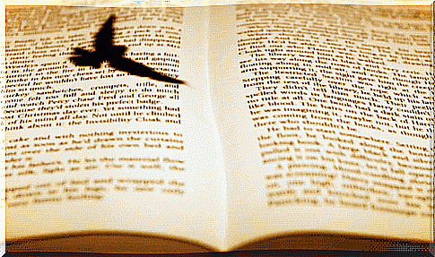 Book with bird symbolizes intelligent people