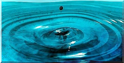 A drop of water creates rings in the water