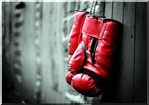 Boxing gloves hang on the wall