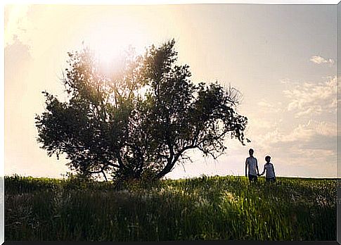 Couple walking on meadow