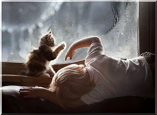 Children playing with cat in front of window