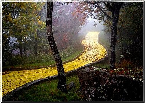 Path in forest consisting of yellow bricks