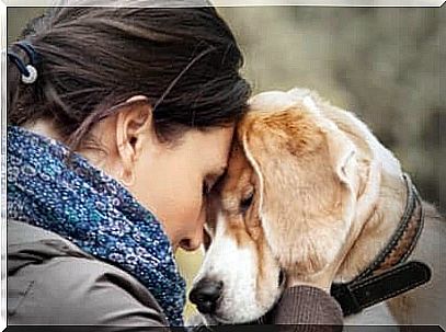 Woman with forehead against dog's forehead shows the importance of therapy dogs for people with borderline