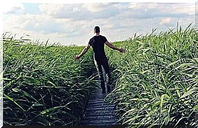 man walking on a path surrounded by tall grass